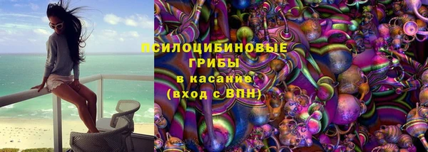 соль ск Алексеевка
