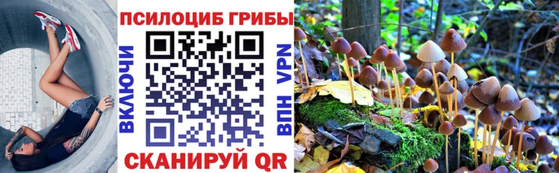 blacksprut ССЫЛКА Коряжма Галлюциногенные грибы прущие грибы
